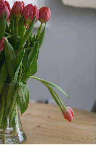 Arrangement 3